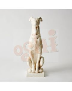 Greyhound White 63cm