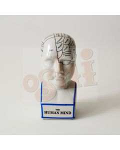 Human Mind 22cm
