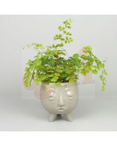 Esme Pot Planter Grey 13cm