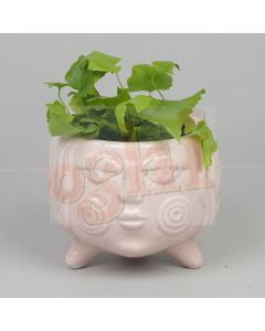 Fleur Pot Planter Pink 13cm